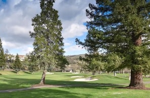 Back Patio golf course view of PGA North course 5th hole and green