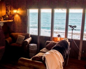 Whale watch from the sofa!