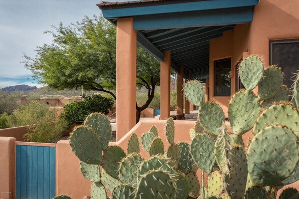 Large covered patio on SW side of home, cactus gardens