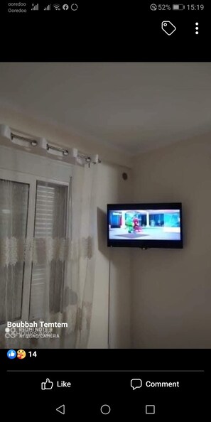 Television