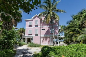 Back Of House View