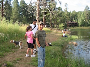 Catch and release fishing at the lake nearby (3-5 minute walk ) Kids love it!