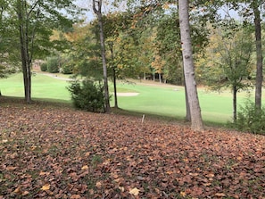 Golf course view from the back of the cottage