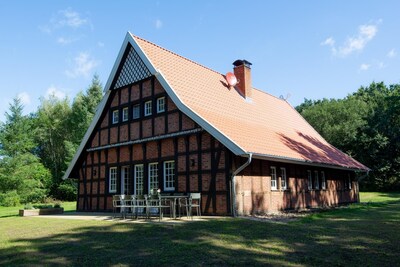 Waldhaus: mitten im Wald, uneinsehbares Grundstück mit sonniger Terrasse.