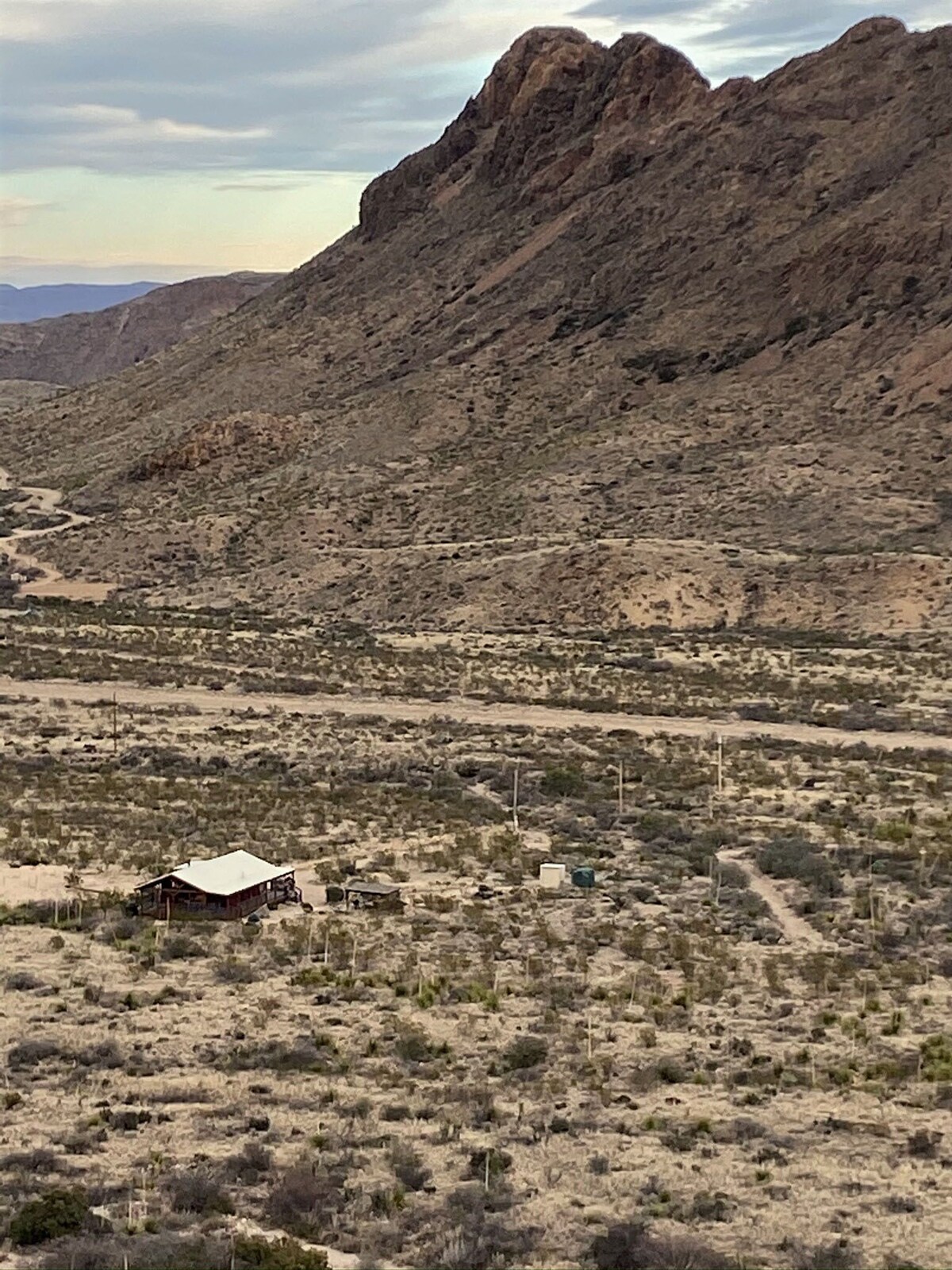 Main Image
