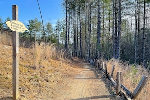 Walk to the public beach on the Fonta Flora Trail