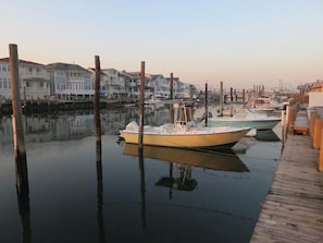 Back Dock