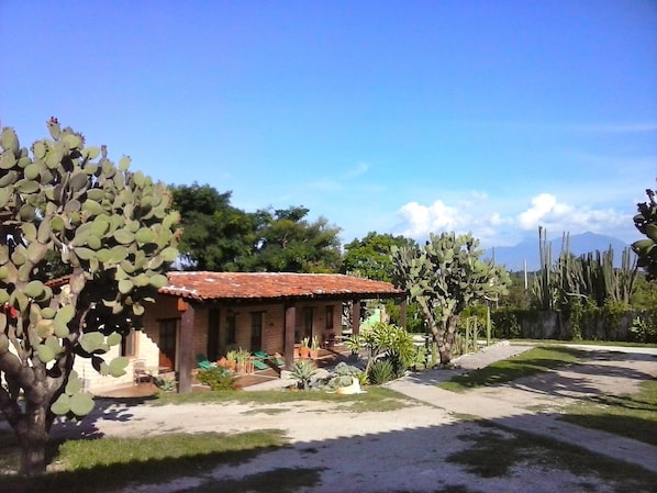 A winter sky. Looking towards the three-room guest lodge.