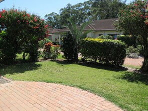 Backyard, left side