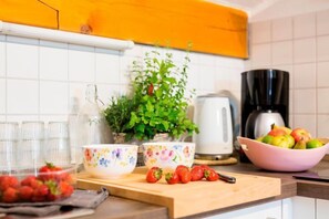 Ferienwohnung Kaiserblick, 32 qm mit Balkon und Bergblick-Wohnung Panoramablick