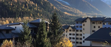 vue du balcon, le Mont-Blanc