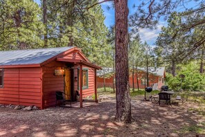 Rustic Adventure w/ Historic Log Cabin / Forest Views / 20 minutes from