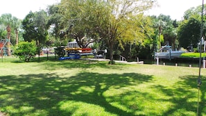 Backyard- grass & trees