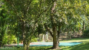 Terrain de sport