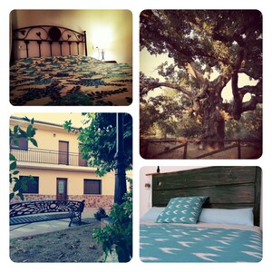 Picture of villa