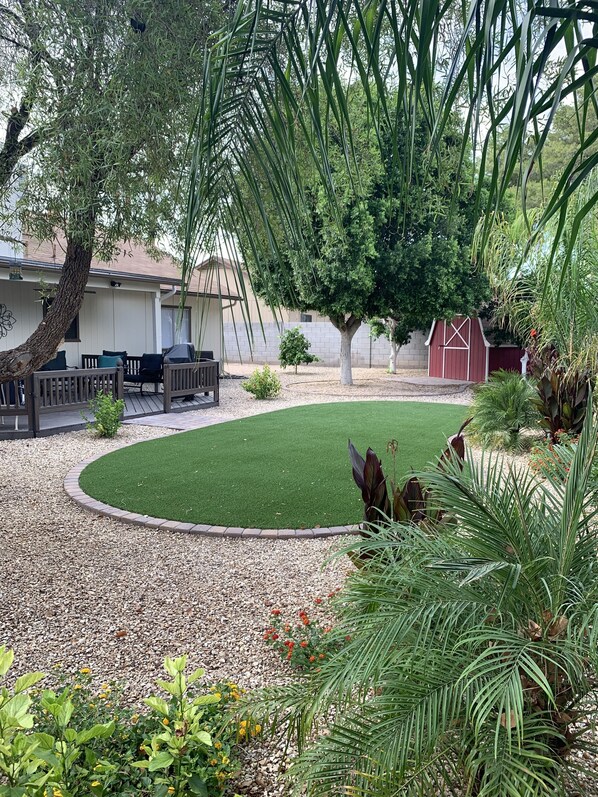 Lush Backyard with seasonal grape fruit and orange trees for everyone to enjoy.
