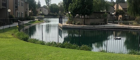 A large pond w/ducks, seating areas, dog park and walk ways. A fun place to hang