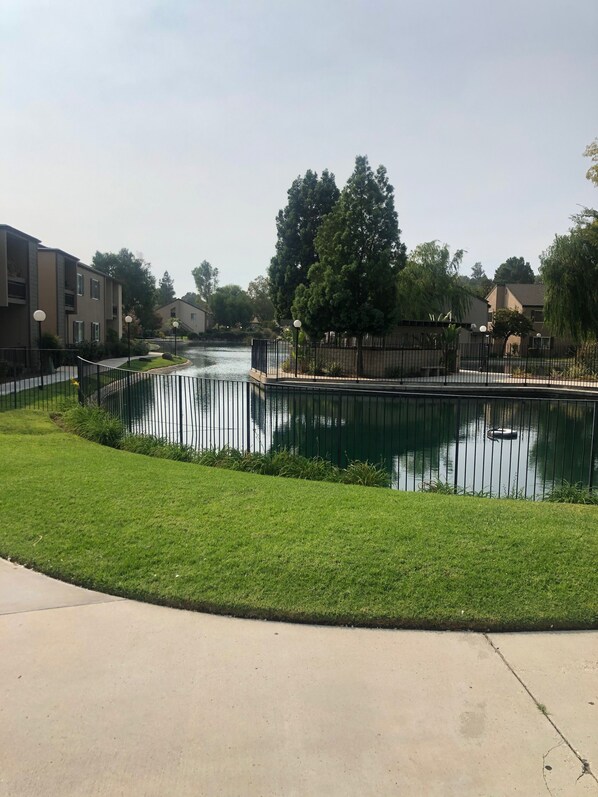 A large pond w/ducks, seating areas, dog park and walk ways. A fun place to hang