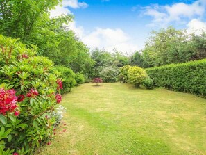 Natur, Natürliche Landschaft, Garten, Vegetation, Grün, Eigentum, Gras, Rasen, Strauch, Pflanze