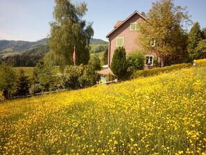 Picture 3