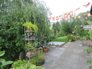 Picture 5