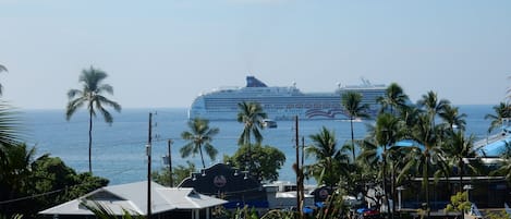 View from the lanai