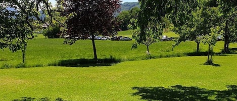 Boendeområde