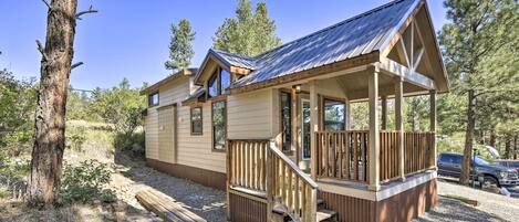 Come visit this cozy 1-bedroom, 1-bathroom cabin in Pagosa Springs.