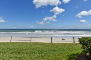 Front yard facing beach