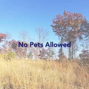 This is not a pet friendly property!