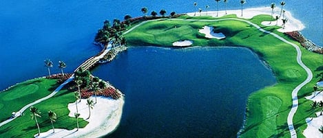 arial view of one of the top golf courses in the United States in Lely Resort! 