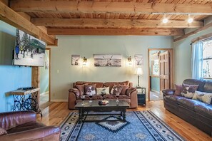 Main level living room.