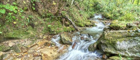 Property sits on this stunning creek. So relaxing to listen to!