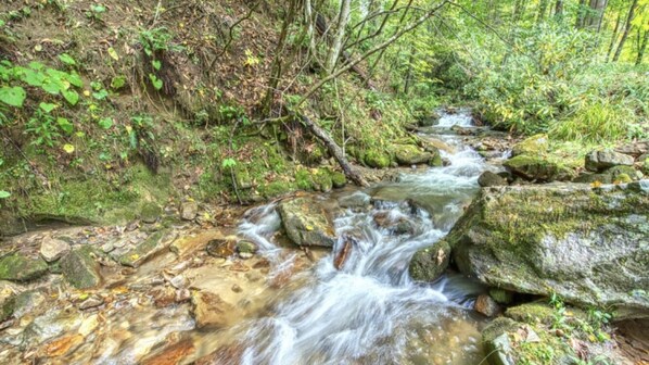 Property sits on this stunning creek. So relaxing to listen to!