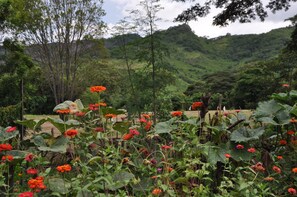 Terrenos do alojamento