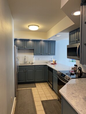 New "Ice" quartz countertops,  sink and appliances.