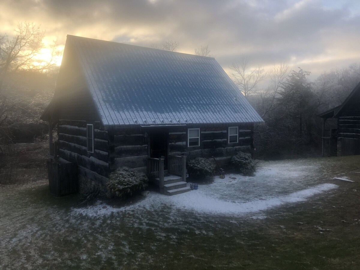 Cozy Log Cabin Near the Parkway