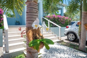 Cottage Entrance