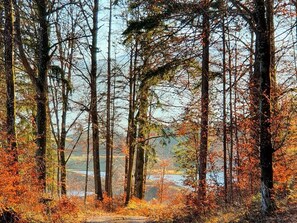 Das Haus Steger zu Stein