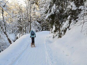 Snow and ski sports