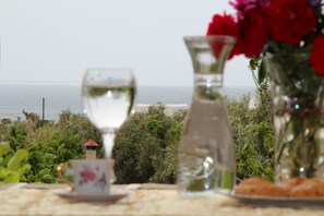 Beach/ocean view
