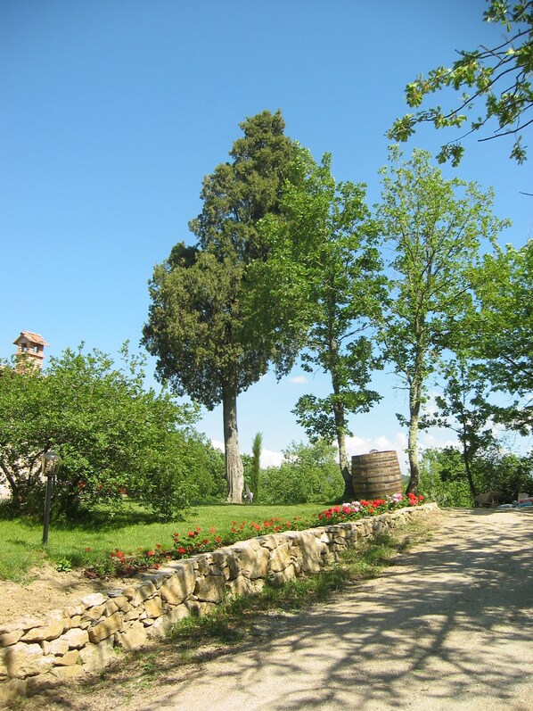 Trädgård