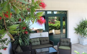 Terraza o patio