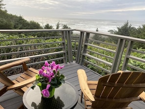 Whale & wave watching are always fun and exciting off the deck with awesome view