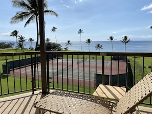 View from living room lanai. 