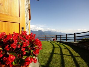 Fleur, Ciel, Plante, Propriété, Bâtiment, Clôture, Architecture, Lumière Du Soleil, Pot De Fleur, Herbe
