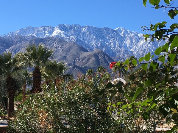 West view from patio