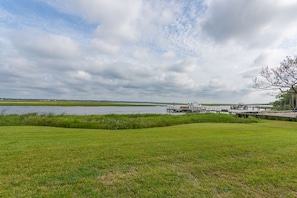 River View & Backyard Lawn