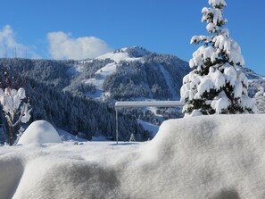 Skidåkning och snöaktiviteter