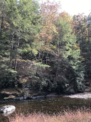 Autumn creek: extended trout season; bonus days for tube rides; just relaxing...
